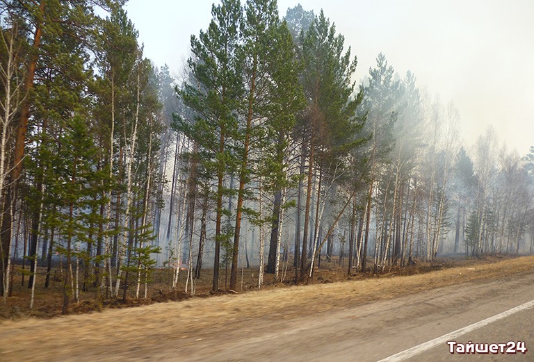 Левченко-2015: &#171;В лесных пожарах виновата действующая власть&#187;
