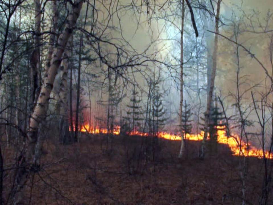 Режим ЧС введен в Иркутской области из-аз лесных пожаров