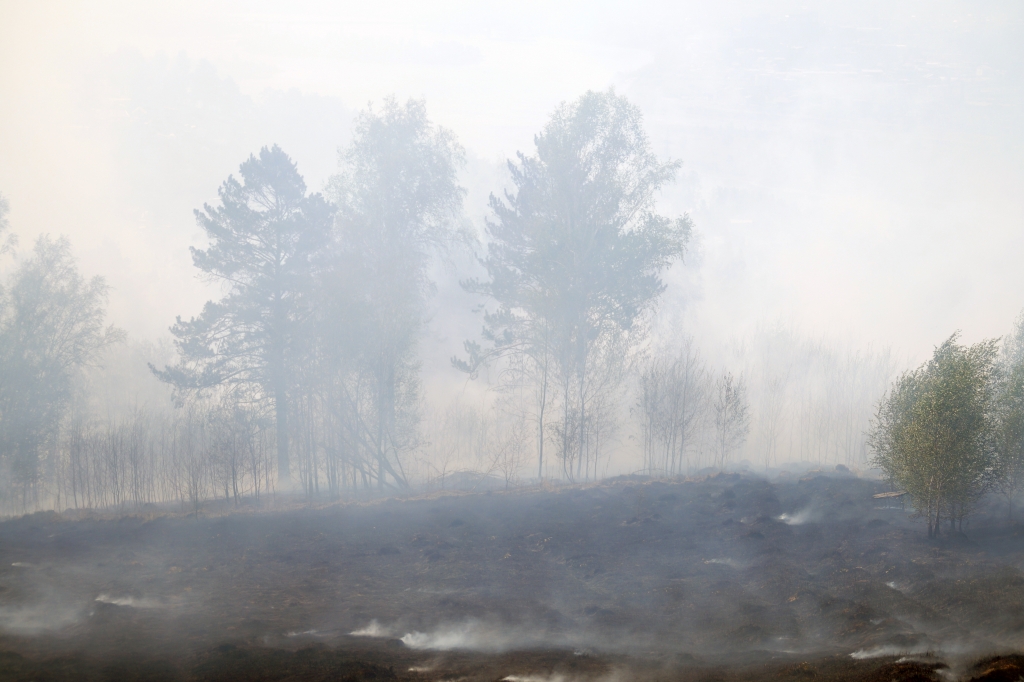 Природные пожары охватили 7 тысяч га в  Иркутской области