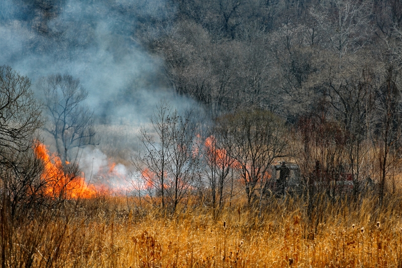Сгоревший поселок Бубновка в Иркутской области восстанавливать не будут