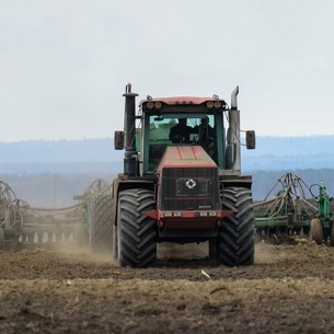 Объем производства зерна в Прибайкалье планируют довести до 1 млн тонн в год