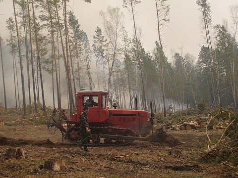 Три пожара потушили за сутки в лесах Иркутской области