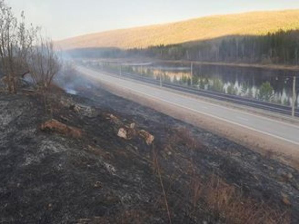 В Усть-Кутском районе 80 человек спасали посёлок Ручей от лесного пожара