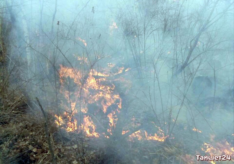 В Тайшетском районе продолжает действовать запрет на посещение лесов и на разведение открытого огня