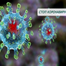 Еще один человек заболел коронавирусом в Иркутской области