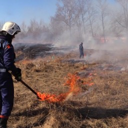 Пожарные начали профилактические отжиги в Приангарье