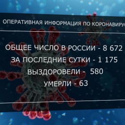 В России 8672 человека заражены новой коронавирусной инфекцией