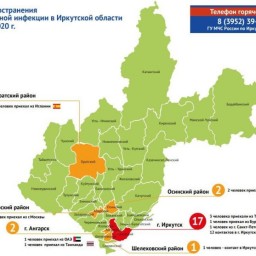 Карта коронавируса: плюс Шелеховский район