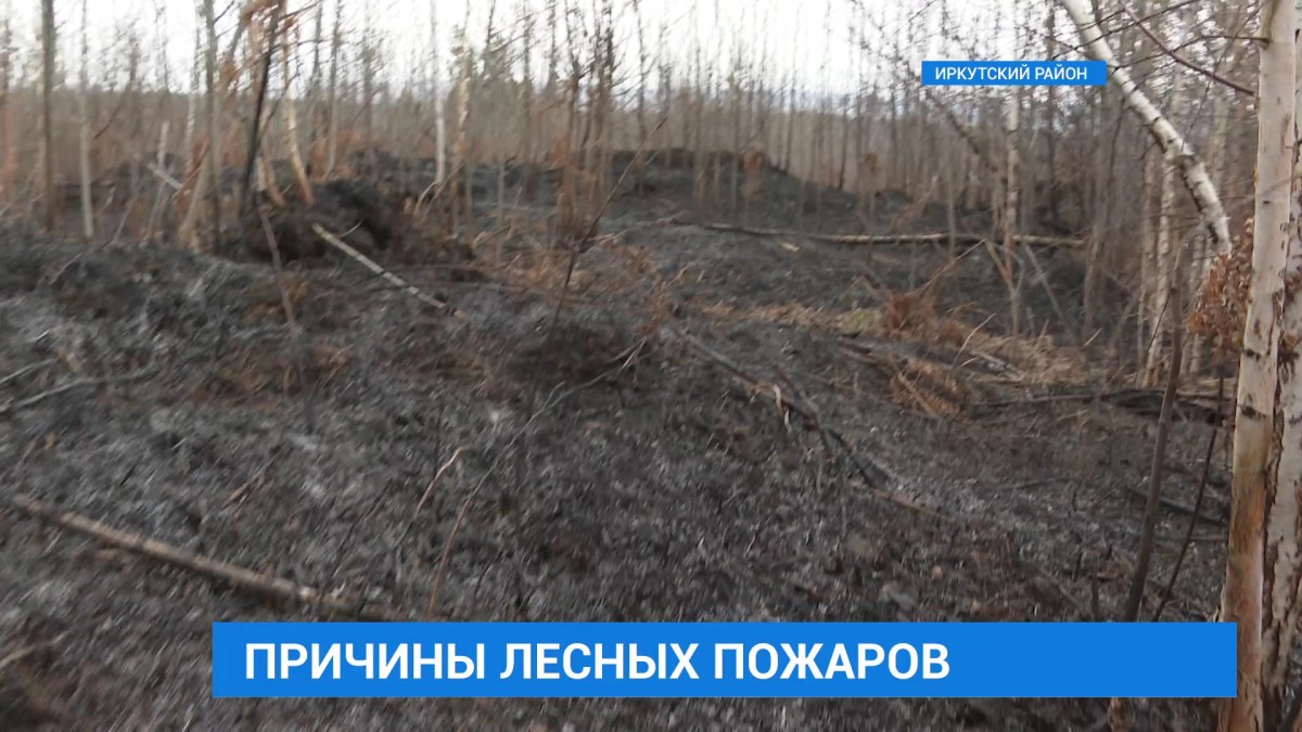 Причины лесного пожара в Иркутском районе выясняют специалисты