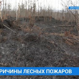 Причины лесного пожара в Иркутском районе выясняют специалисты