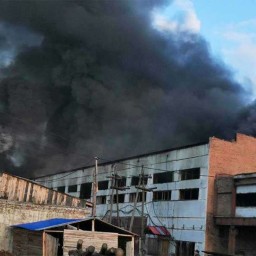 Крупный пожар произошел на деревообрабатывающем предприятии в Чуне