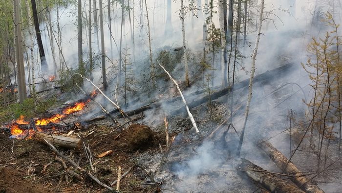 Лес продолжает гореть в Катангском районе