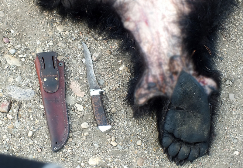 Убийцу двух медведей задержала полиция в Ольхонском районе