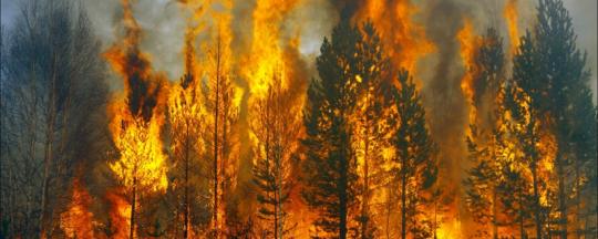 В Прибайкалье лесные пожары не прекращаются, а только увеличиваются