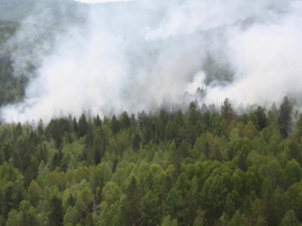 Около 32 тысяч гектаров природных территорий горят в Иркутской области
