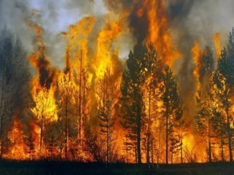 Крупный лесной пожар пришел в Приангарье со стороны Красноярского края