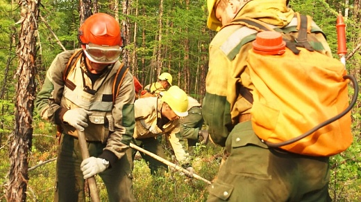 В лесах Иркутской области за сутки потушили 21 пожар, еще восемь продолжают гореть
