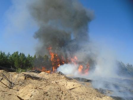 Поселок Седаново Приангарья едва не сгорел из-за пожара на частной пилораме