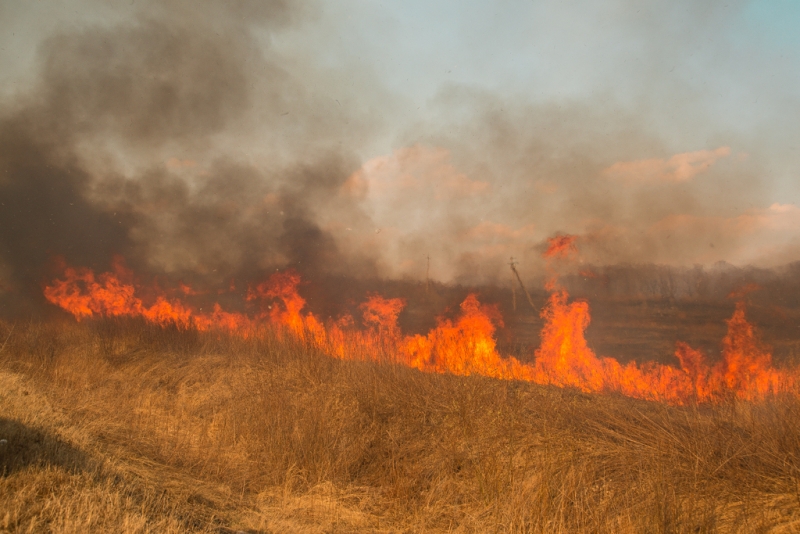 Большая проблема может получиться в связи с пожаром возле Кочергат в Приангарье - Брилка