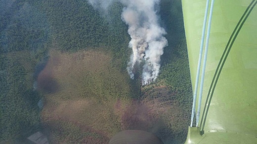 Всего один пожар остался на землях лесного фонда Иркутской области