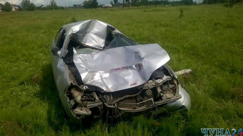 Водитель иномарки насмерть сбил корову на дороге Тайшет &#8212; Чуна