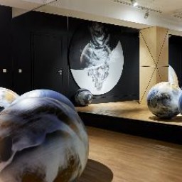 Галерея Виктора Бронштейна устроит "Всплеск" на "Ночи музеев"