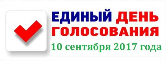 На выборах в Усть-Куте наблюдатели зафиксировали подвозы и подкуп избирателей