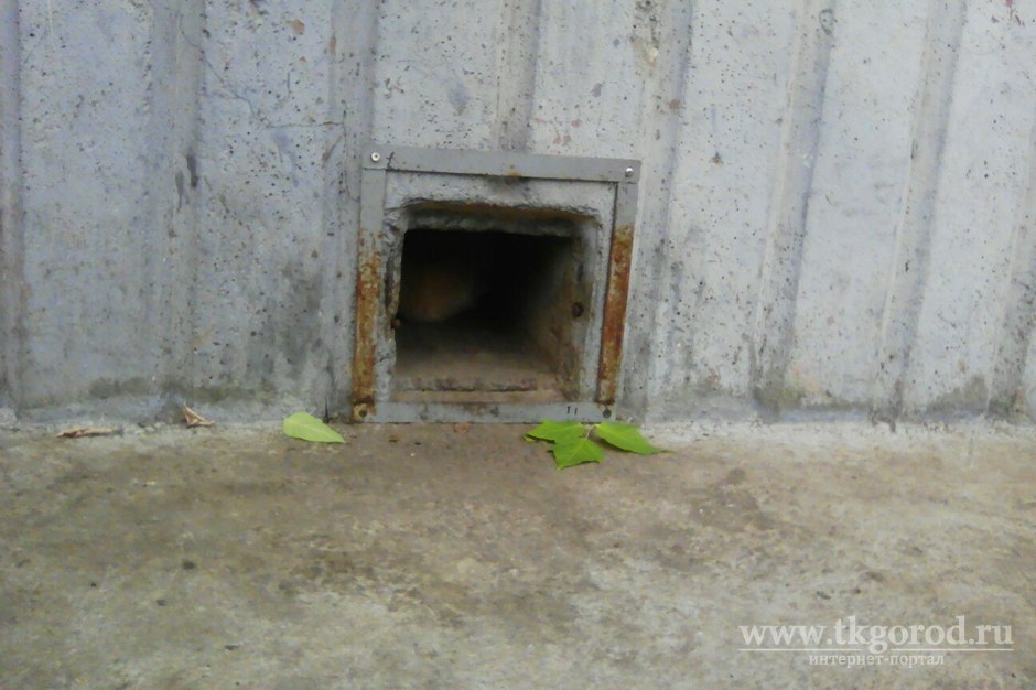 В Братске, в доме, где идёт капремонт, жильцы выломали для бездомных котов новые решётки на подвальных окнах