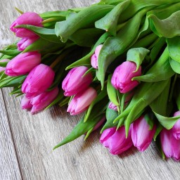Жительница Черемхово лишилась денег, покупая тюльпаны через Интернет