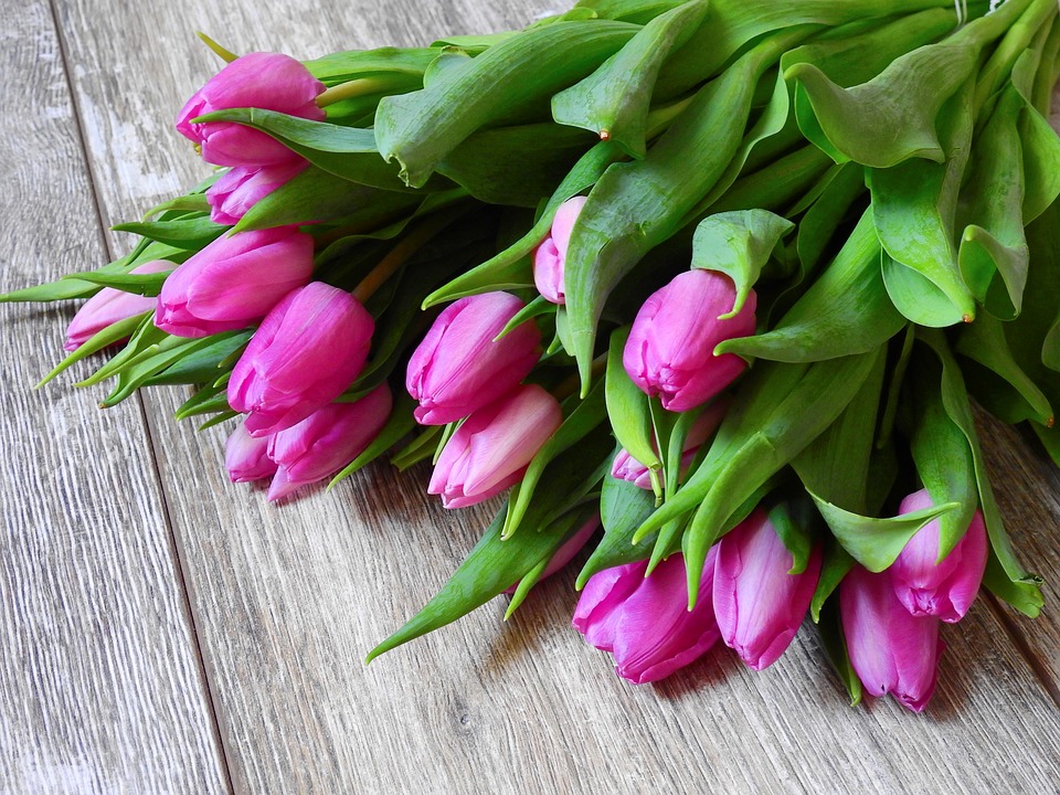Жительница Черемхово лишилась денег, покупая тюльпаны через Интернет