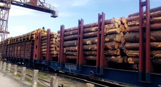 Иркутская таможня возбудила уголовное дело по факту контрабанды леса в Китай