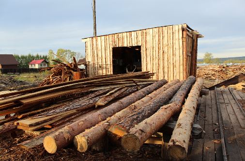Жители Иркутской области будут подавать заявление на древесину единожды
