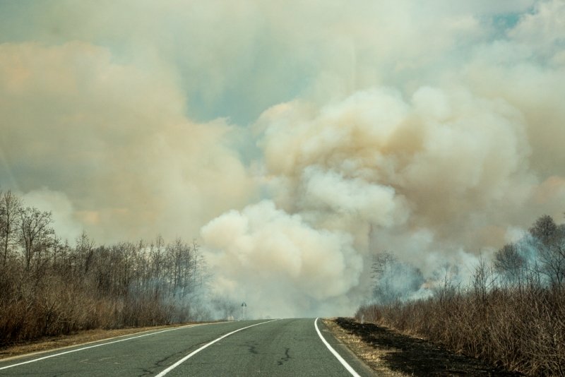Сильные лесные пожары ожидаются в Иркутской области – Росгидромет