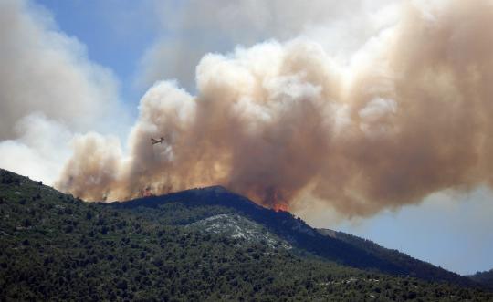 Иркутская область должна более 100 миллионов рублей за тушение лесных пожаров