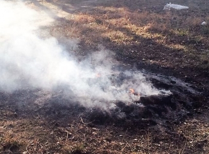 Двух мужчин наказали за сжигание мусора на своих участках в Иркутской области