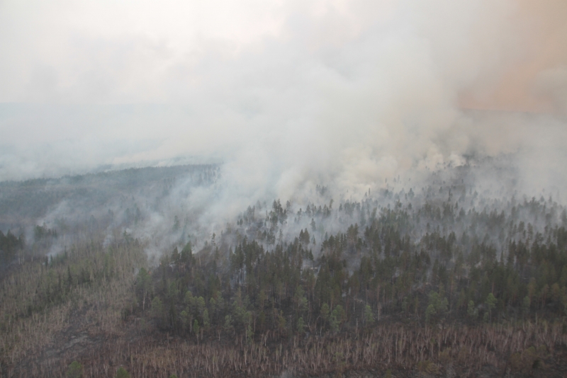 Иркутск готовится к предстоящим лесным пожарам