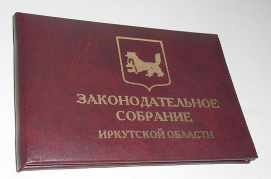 Довыборы в Заксобрание Иркутской области стартовали 26 марта