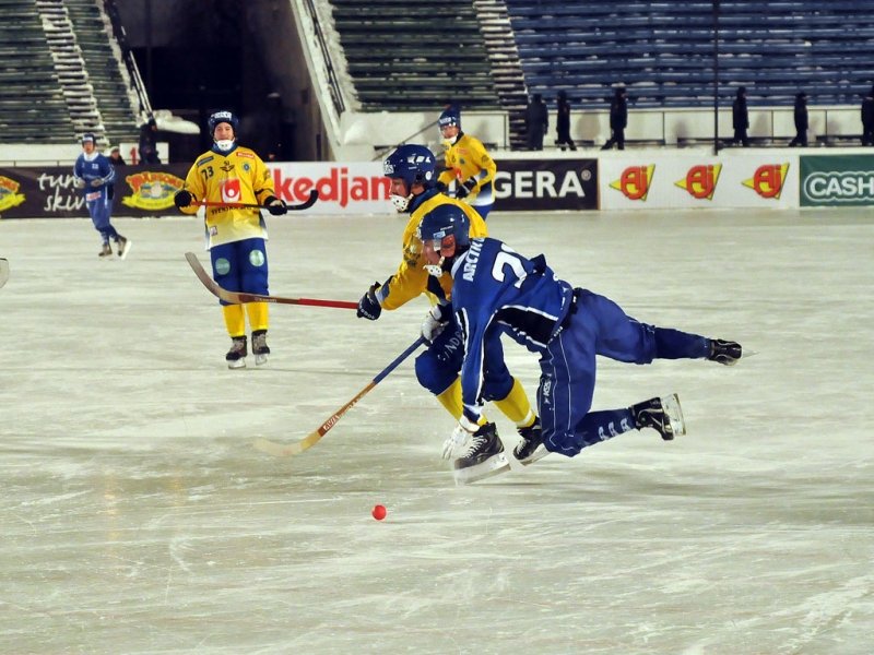 Борис Скрынник: Система проведения чемпионата России по хоккею с мячом будет изменена