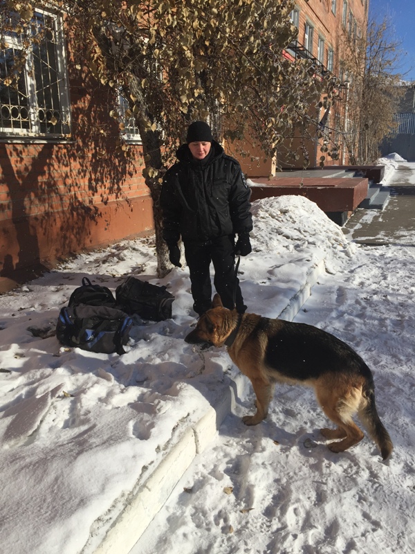 В Усолье-Сибирском обезвредили боевую гранату, найденную возле кафе