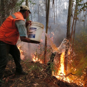 С манкирующими тушением пожаров лесозаготовителями Прибайкалья расторгнут договоры аренды