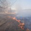 Подготовка к пожароопасному периоду 2024 года началась в Иркутской области