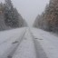 МЧС предупреждает о сильном ветре и метели в Иркутской области 24 ноября