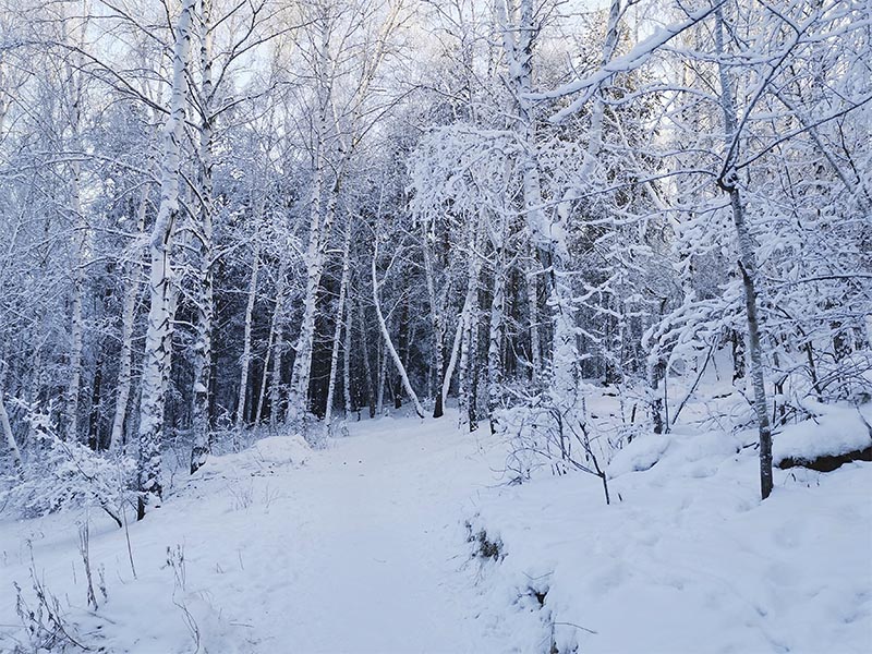 До -12 градусов похолодает в Иркутске в четверг