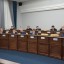 Депутаты Думы и администрация Иркутска прорабатывают проекты благоустройства сада Томсона