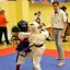 Тайшетские каратисты привезли 17 медалей с областных соревнований