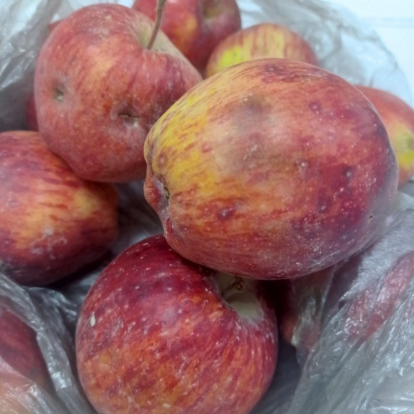 У пассажиров в аэропорту Иркутска изъяли 7 килограммов яблок, зараженных калифорнийской щитовкой