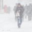 Метели и снег ожидаются в Иркутской области 1 декабря