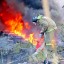 За 11 месяцев в Тайшетском районе на пожарах погибли 10 человек