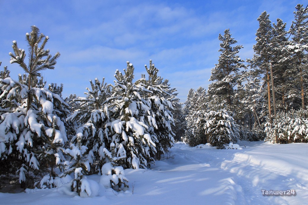 Яндекс.Погода: декабрь в Тайшете будет тёплым, а новогодняя ночь &#8212; сказочной