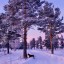 Гидрометцентр: В начале декабря жителей Иркутской области ждут 35-градусные морозы по ночам